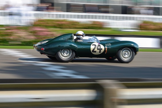 The Jaguar D-Type of John Young recovered from an early spin to finish in 6th place within the Lavant Cup