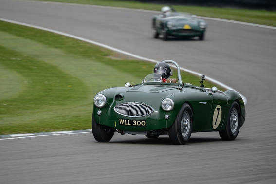 The ex-Canadian Works Austin Healey 100S competed amongst a varied field of early 1950s sports racing cars